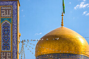 عکس با کیفیت : کبوتران حرم امام رضا علیه السلام