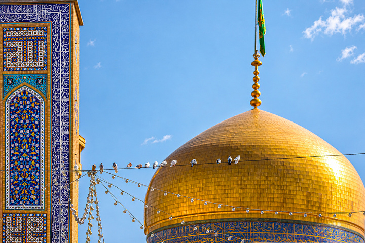 عکس با کیفیت : کبوتران حرم امام رضا علیه السلام