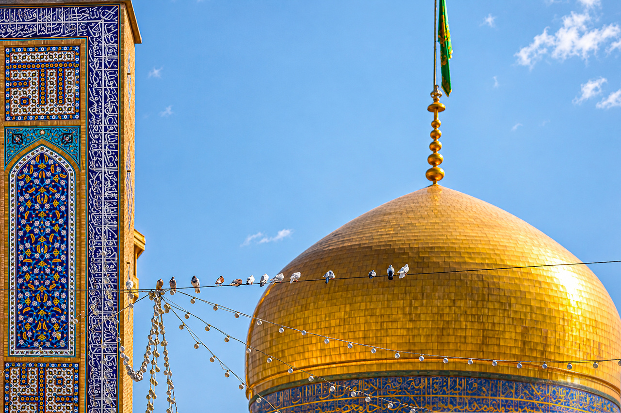 عکس با کیفیت : کبوتران حرم امام رضا علیه السلام