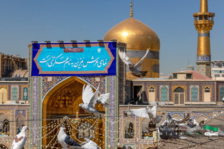 نصب کتیبه‌های ولادت امام حسن عسکری(ع) در حرم مطهر رضوی
