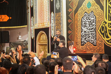 مداحی جدید سید رضا نریمانی در شب رحلت بانوی کرامت
