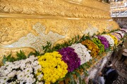 گل‌آرایی ضریح مطهر امام حسین(ع) به مناسبت میلاد حضرت زینب(س)